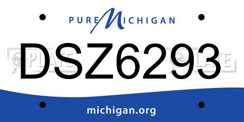 DSZ6293 Michigan License Plate