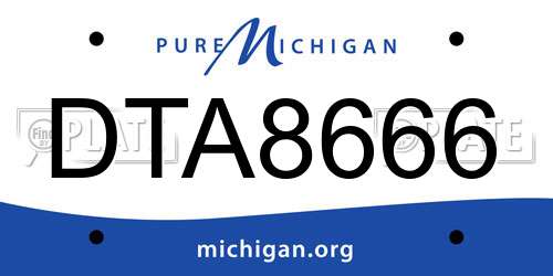 DTA8666 Michigan License Plate