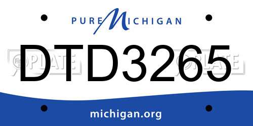 DTD3265 Michigan License Plate