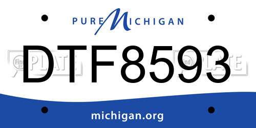 DTF8593 Michigan License Plate