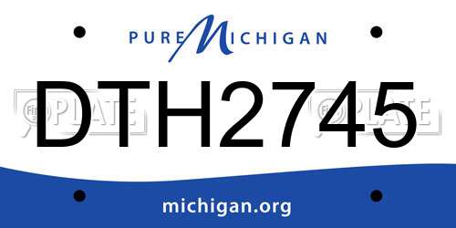 DTH2745 Michigan License Plate