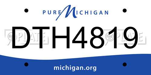 DTH4819 Michigan License Plate