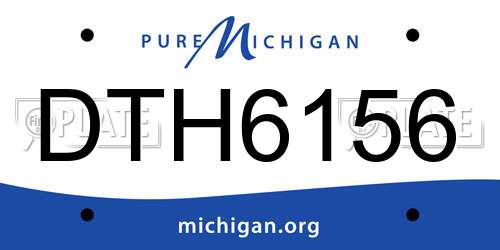 DTH6156 Michigan License Plate