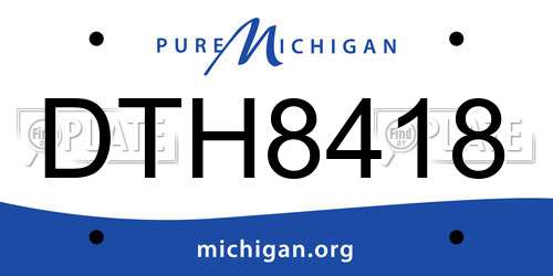 DTH8418 Michigan License Plate