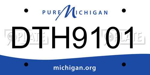 DTH9101 Michigan License Plate