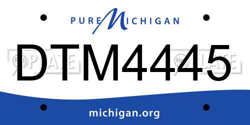 DTM4445 Michigan License Plate