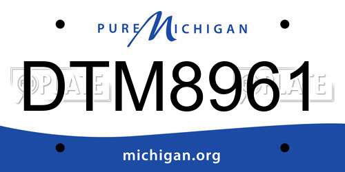 DTM8961 Michigan License Plate