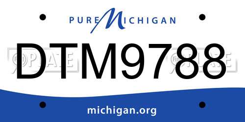 DTM9788 Michigan License Plate