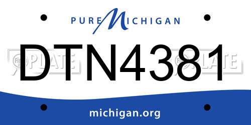DTN4381 Michigan License Plate
