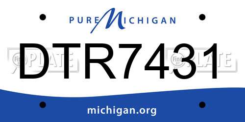 DTR7431 Michigan License Plate