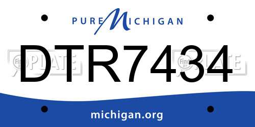 DTR7434 Michigan License Plate