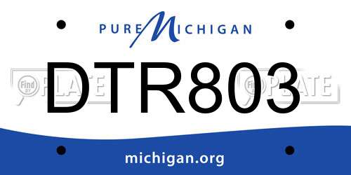 DTR803 Michigan License Plate