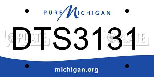 DTS3131 Michigan License Plate