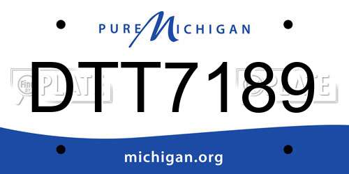 DTT7189 Michigan License Plate