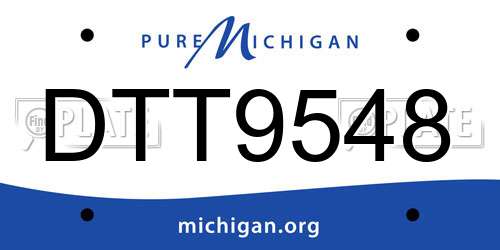 DTT9548 Michigan License Plate