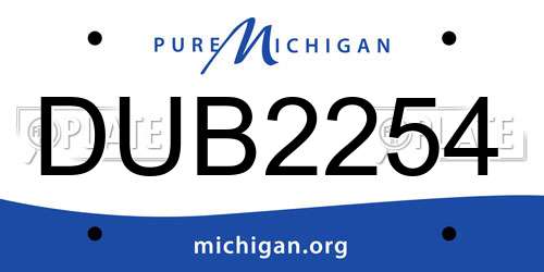 DUB2254 Michigan License Plate