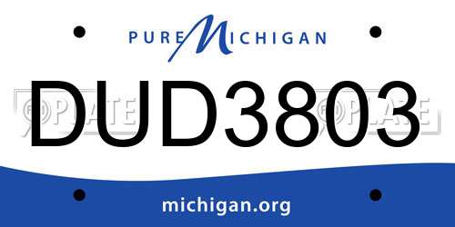 DUD3803 Michigan License Plate