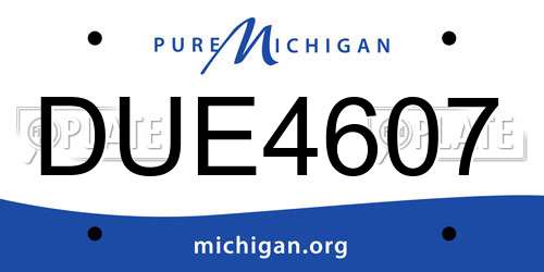 DUE4607 Michigan License Plate