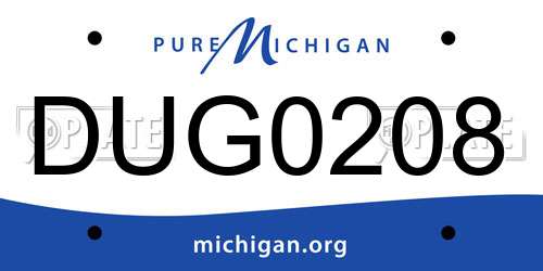 DUG0208 Michigan License Plate