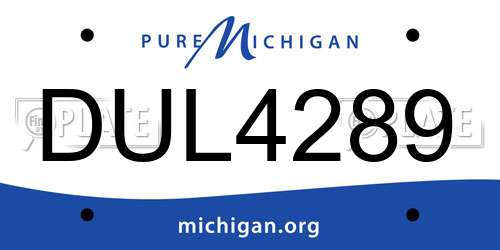 DUL4289 Michigan License Plate