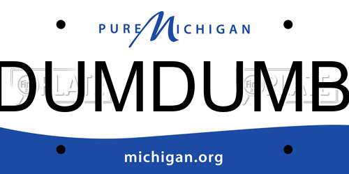 DUMDUMB Michigan License Plate