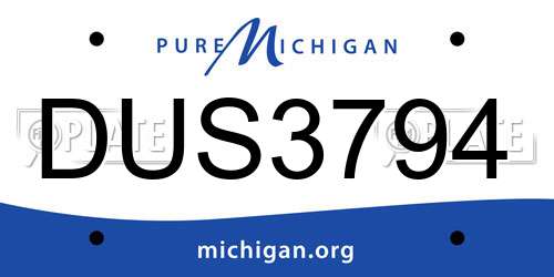 DUS3794 Michigan License Plate