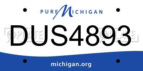 DUS4893 Michigan License Plate
