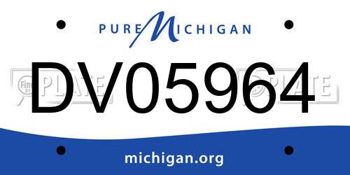 DV05964 Michigan License Plate