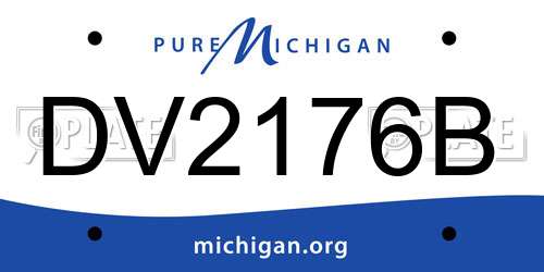 DV2176B Michigan License Plate