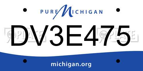 DV3E475 Michigan License Plate