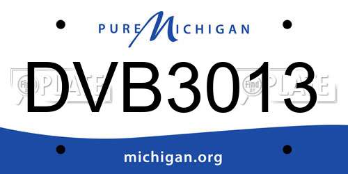 DVB3013 Michigan License Plate