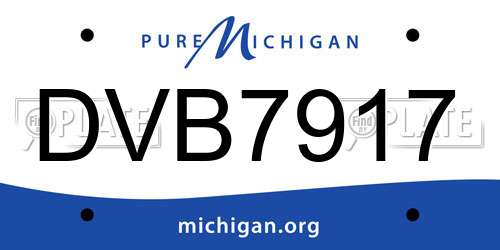 DVB7917 Michigan License Plate