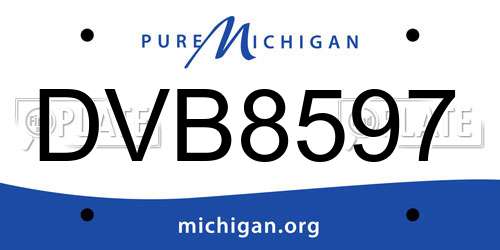DVB8597 Michigan License Plate