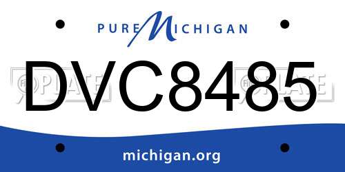 DVC8485 Michigan License Plate