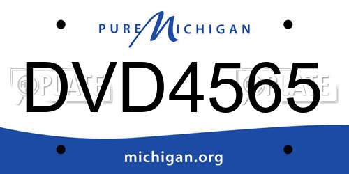 DVD4565 Michigan License Plate