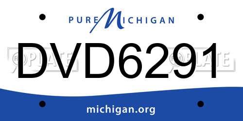DVD6291 Michigan License Plate