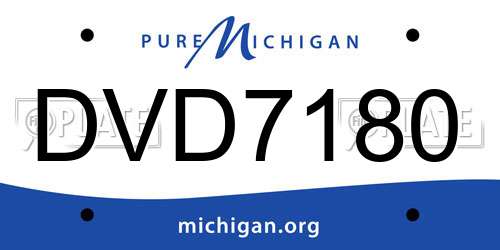 DVD7180 Michigan License Plate