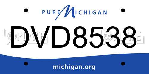 DVD8538 Michigan License Plate
