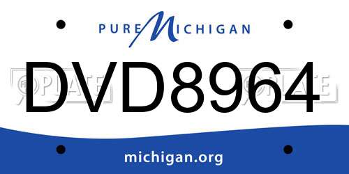 DVD8964 Michigan License Plate