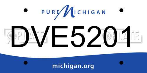 DVE5201 Michigan License Plate