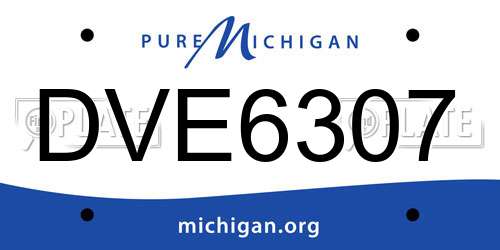 DVE6307 Michigan License Plate