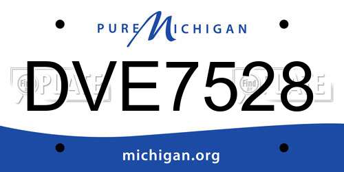 DVE7528 Michigan License Plate