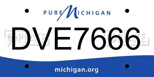 DVE7666 Michigan License Plate