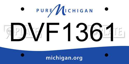 DVF1361 Michigan License Plate