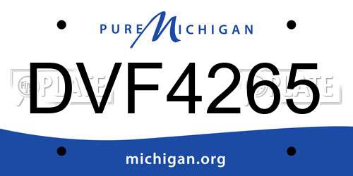 DVF4265 Michigan License Plate