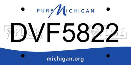 DVF5822 Michigan License Plate