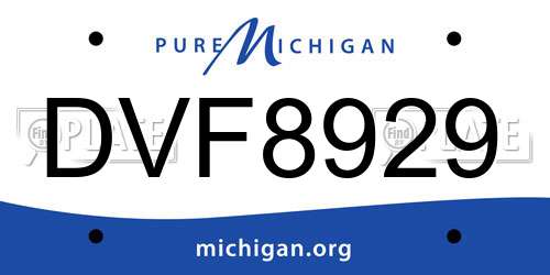 DVF8929 Michigan License Plate
