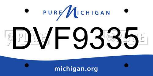 DVF9335 Michigan License Plate