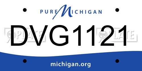 DVG1121 Michigan License Plate