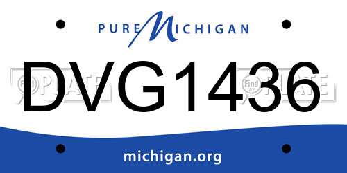 DVG1436 Michigan License Plate